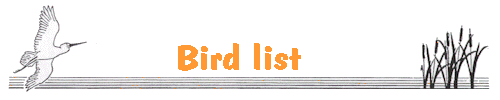 Bird List header
