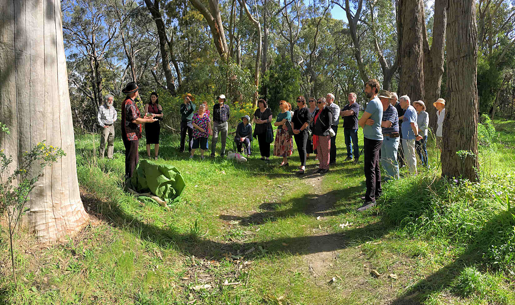 hender_shield_tree_group